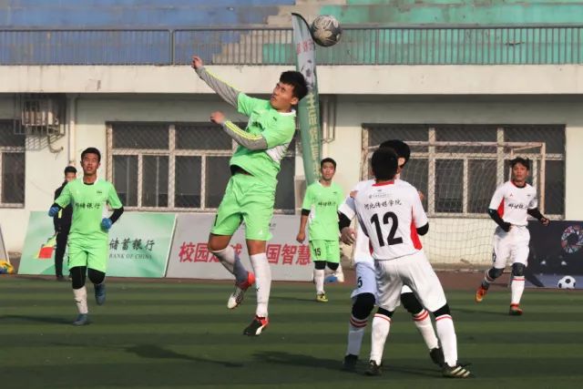 开云app公司简介